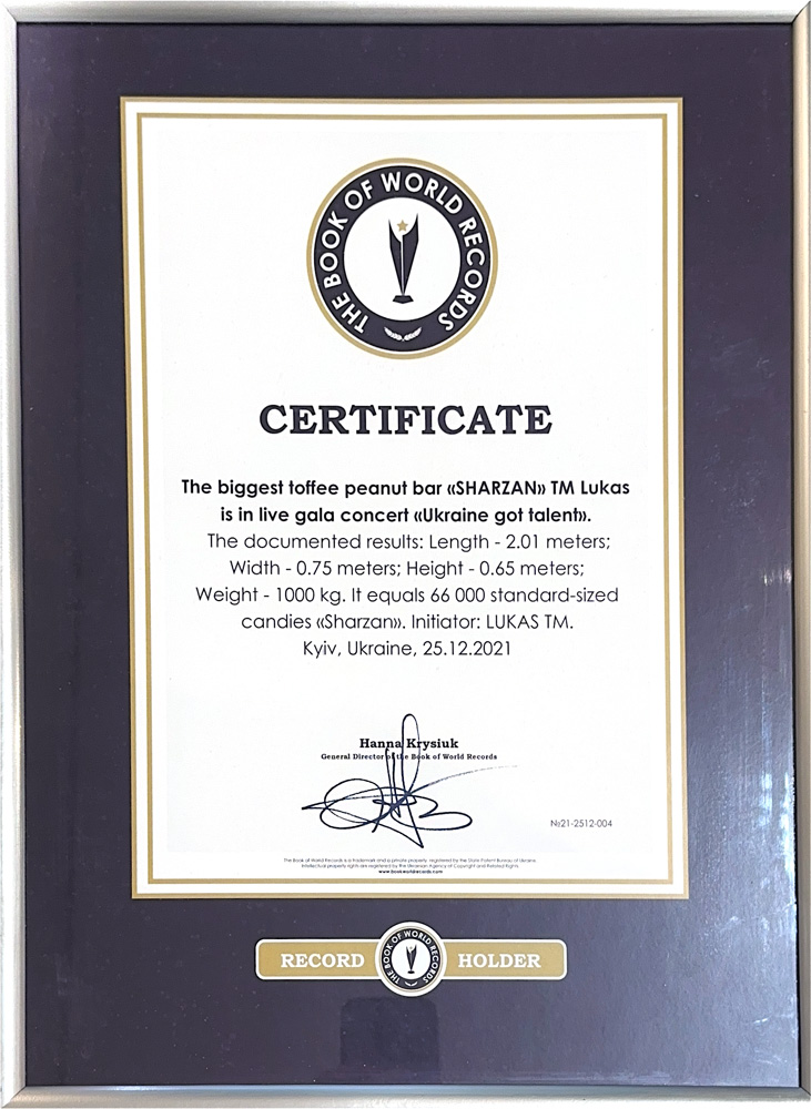 The book of world RECORDS1