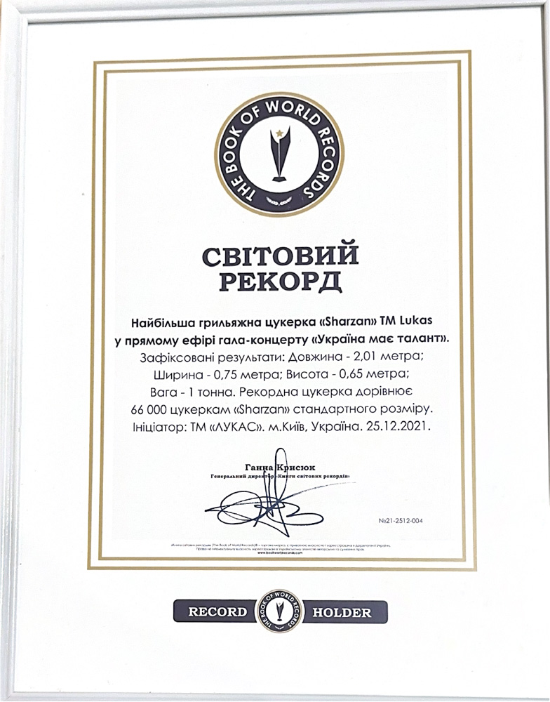 The book of world RECORDS2